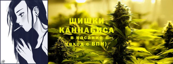 мет Нягань