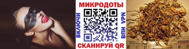 kraken ТОР Инсар Псилоцибиновые грибы MAGIC MUSHROOMS