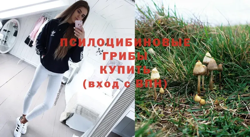 OMG вход  Инсар  Галлюциногенные грибы ЛСД 